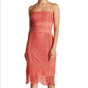 Stylestalker- Amelie Lace Midi Dress, New w/Tags